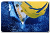 logo3