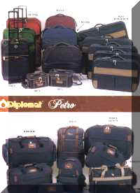 suitcases.jpg (8408 bytes)