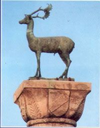 sachini_.jpg (11029 bytes)