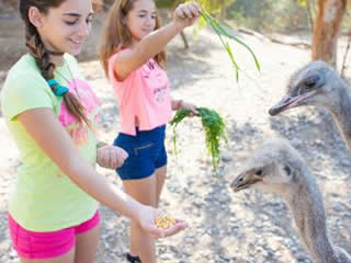 Rodos Alternative tours